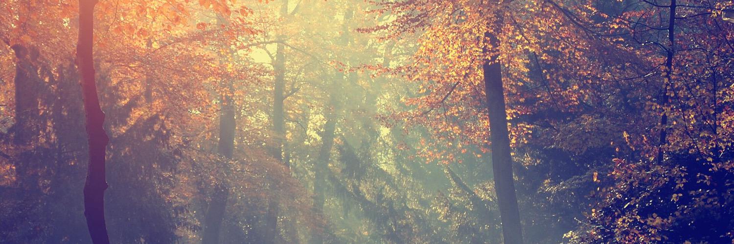 ail3914's profile banner image