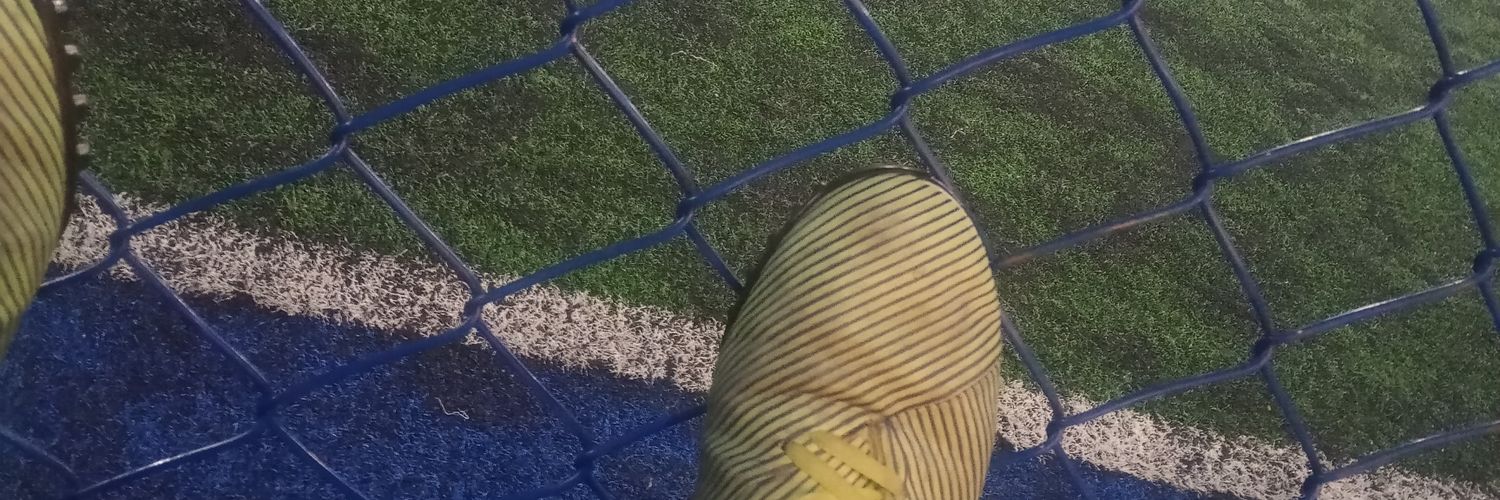 ¡Leozin! 🇱🇺🇦🇹 14/45 banner