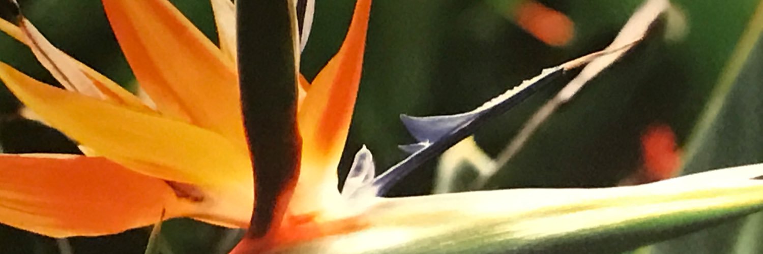 GushSurdhar's profile banner image