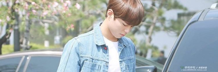 niccsiu's profile banner image
