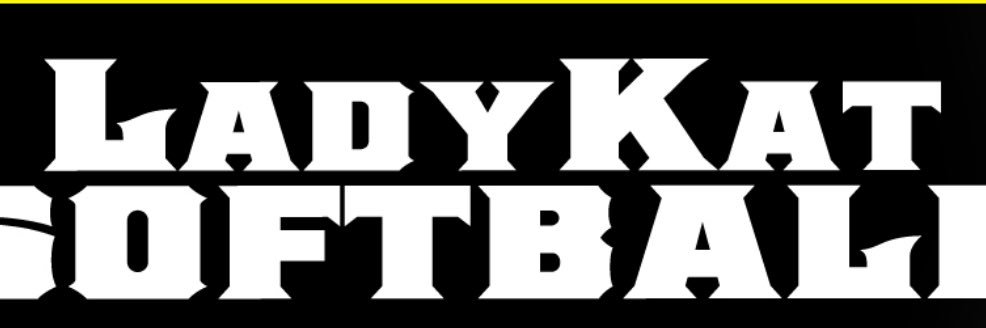 cNDsavage's profile banner image