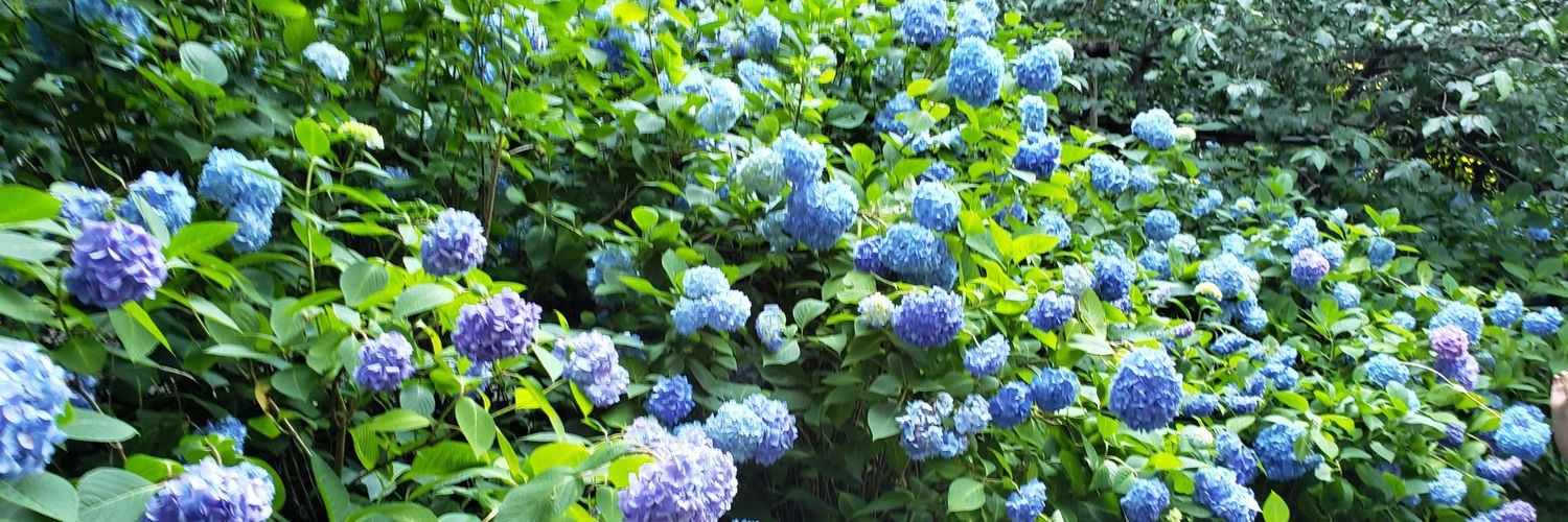 afky5906's profile banner image
