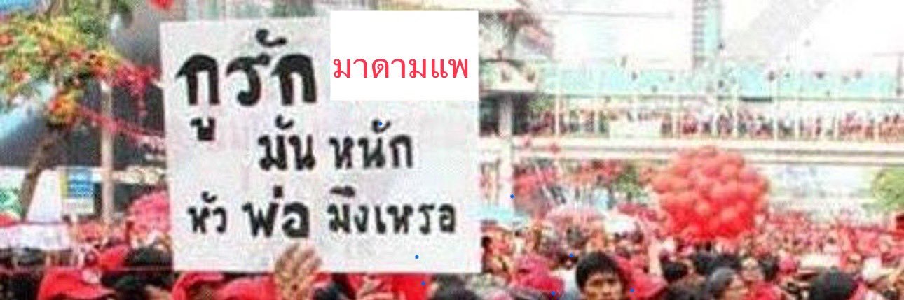 คุณหนูน้องลูกนัท✨ banner