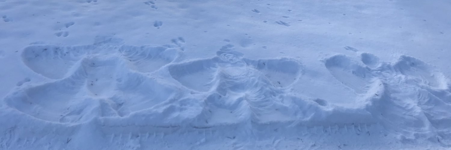 megbeaven's profile banner image