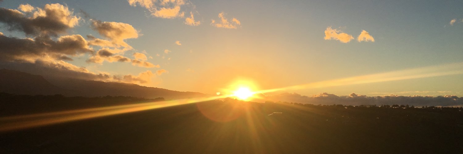 monachinoro's profile banner image