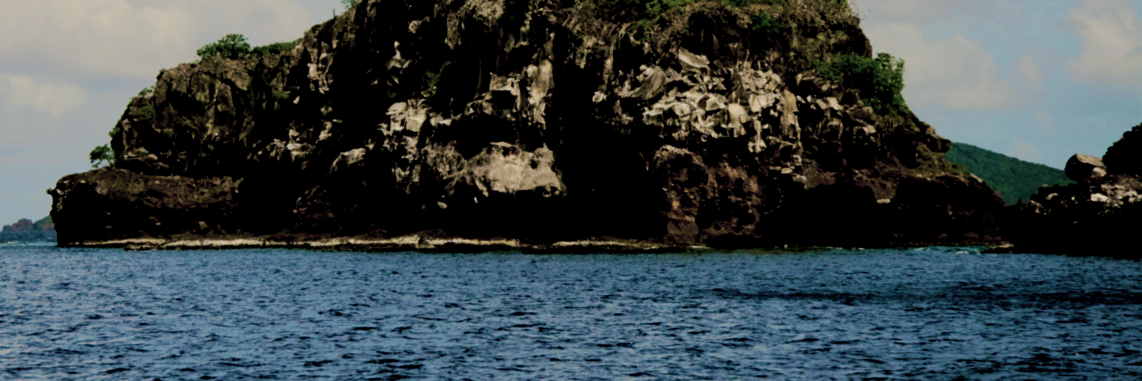 ohfarmiga's profile banner image