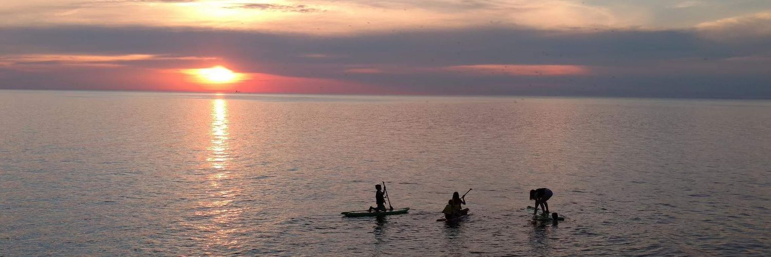 Stacey Pellicano banner