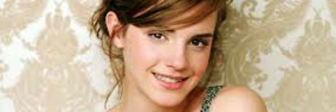 Hermione__LIB's profile banner image