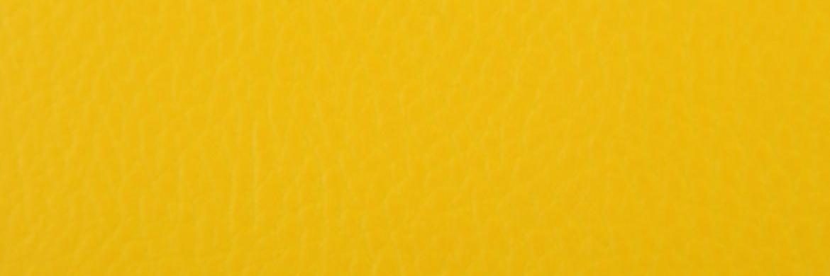 minddgemini's profile banner image