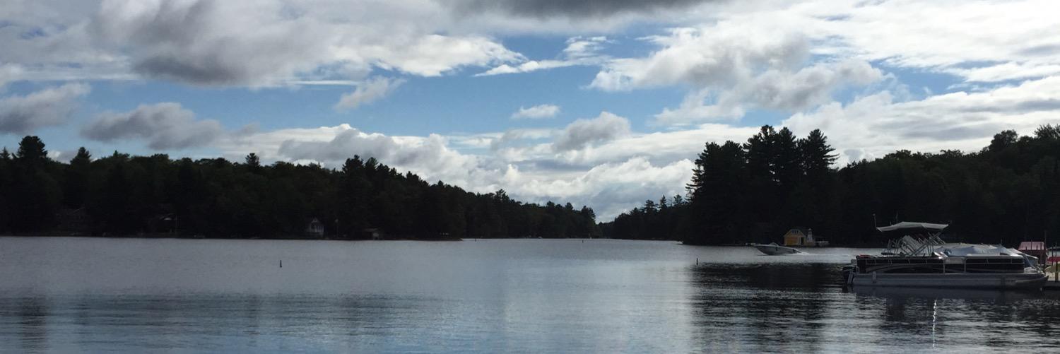 SenoraBriggs's profile banner image