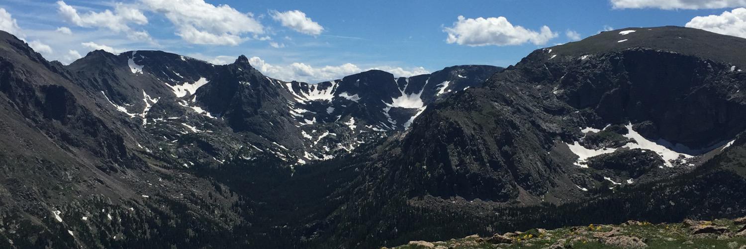 Vincent Pedone banner