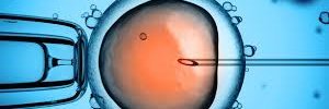 Fertility411's profile banner image
