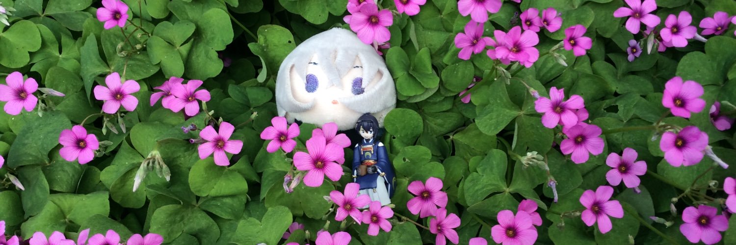 iwacch_t's profile banner image