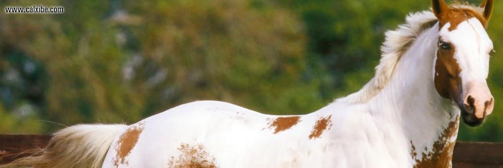 Jorgeramirez75's profile banner image