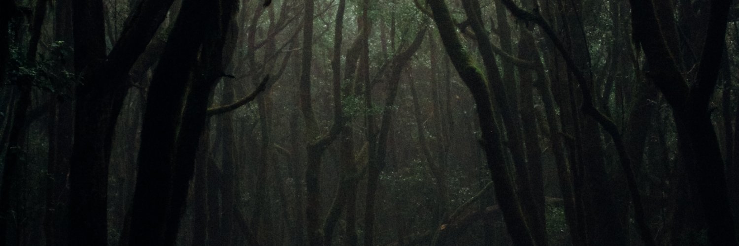 ceeschaefer's profile banner image