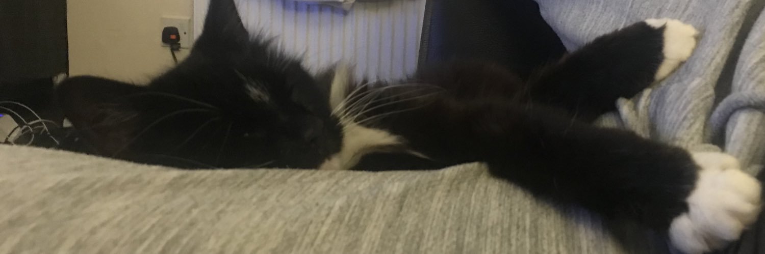 msfoxymax's profile banner image