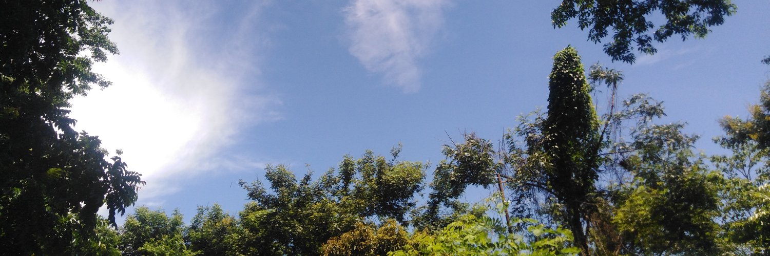 Vikaas_19's profile banner image