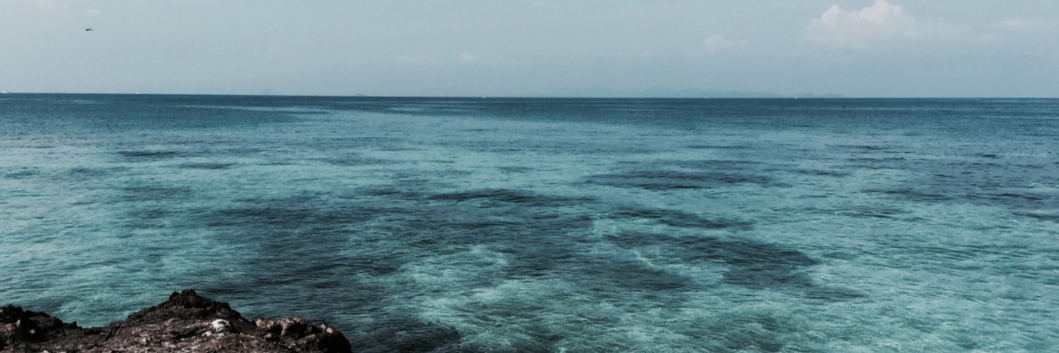 LinpitaYing's profile banner image