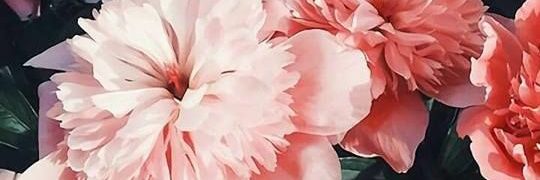 LauraSriutami's profile banner image