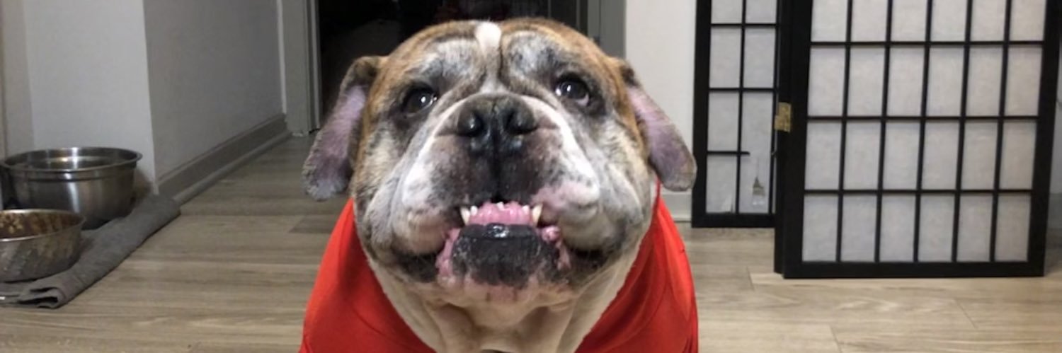 lilsturg's profile banner image