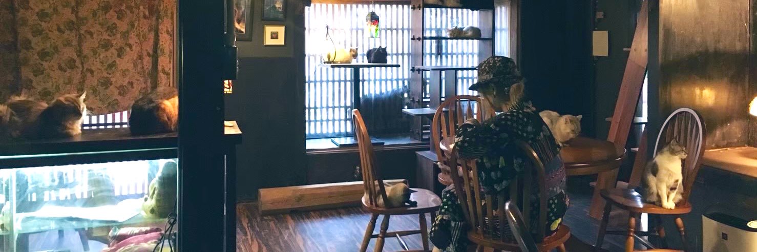 AO@のの(✿´⌣`✿)🦋のID一緒 banner