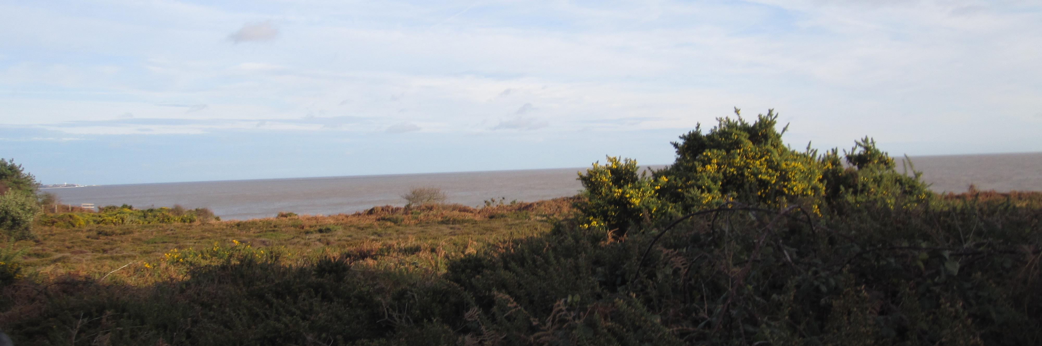 GOfford's profile banner image