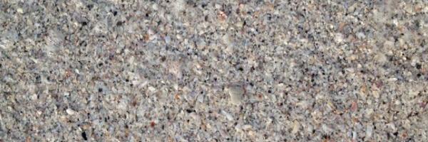 SCDSBliteracy1 Profile Banner