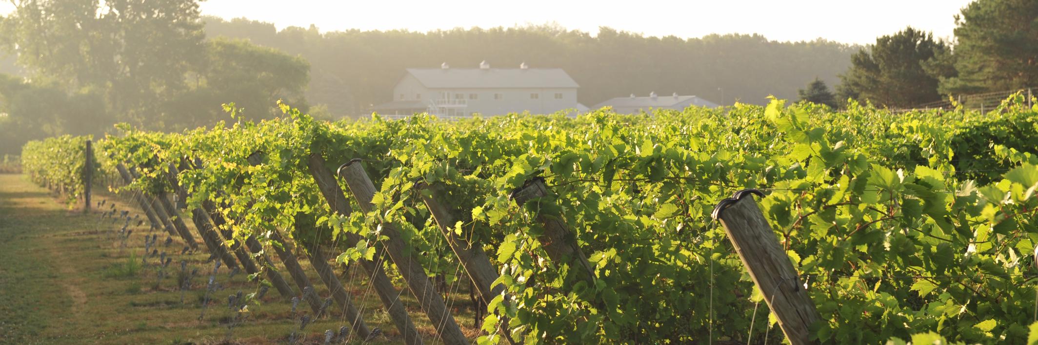 RoundLakeWinery's profile banner image