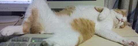 JD banner