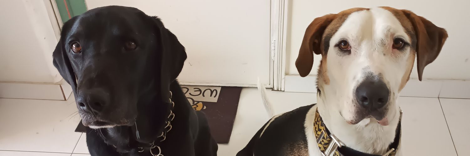 DMajor_94's profile banner image