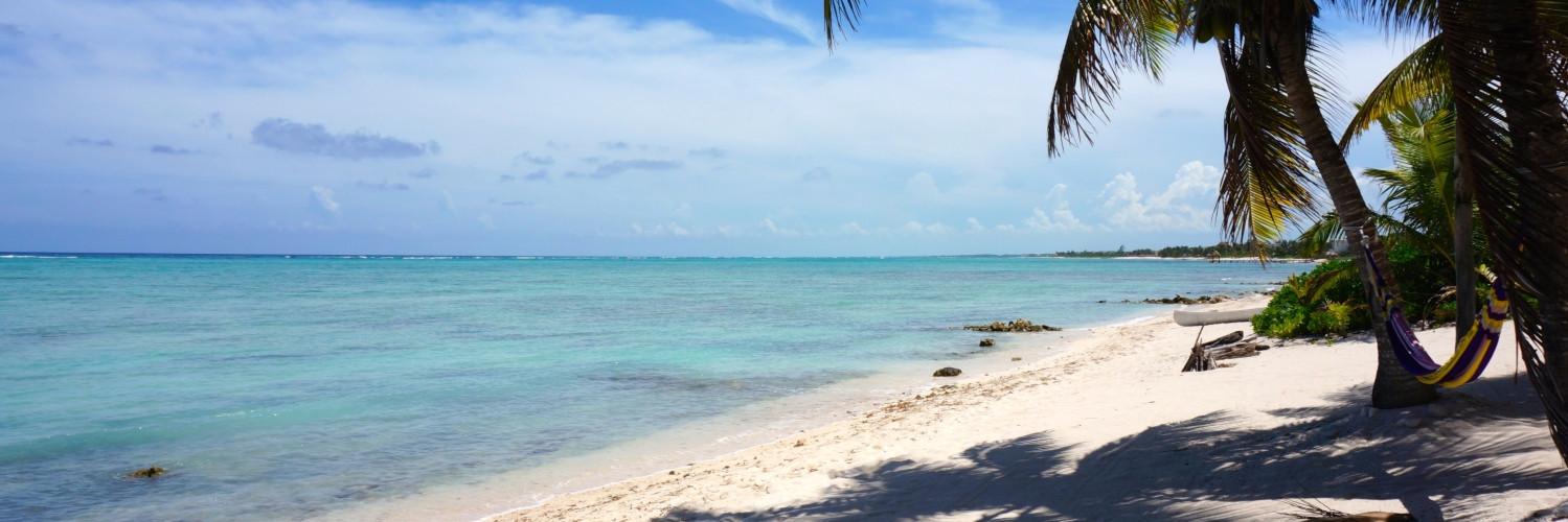 sotankah's profile banner image