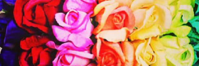 LindseyECuevas's profile banner image