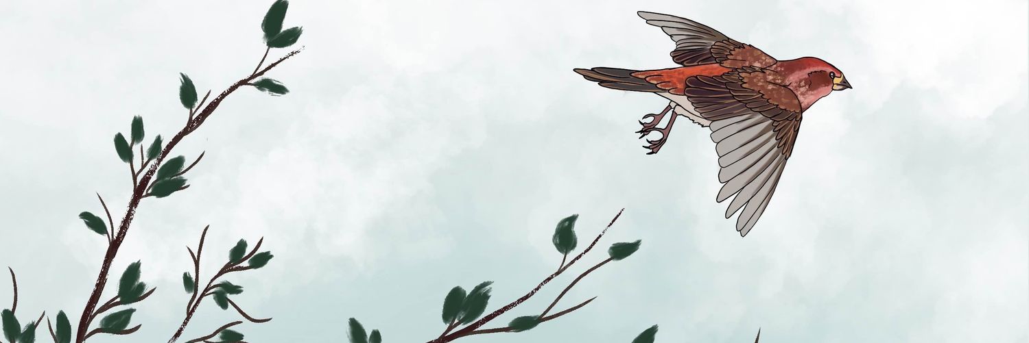 Alex_LittleBird's profile banner image