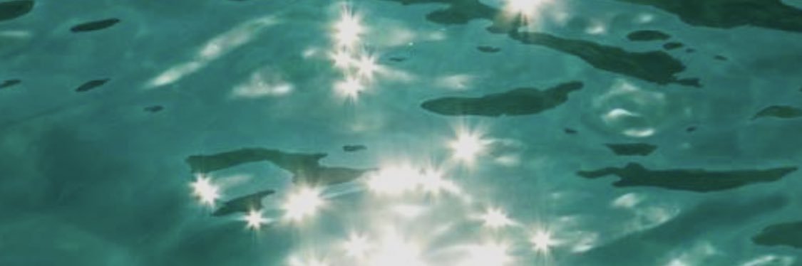 luciabmendonca's profile banner image