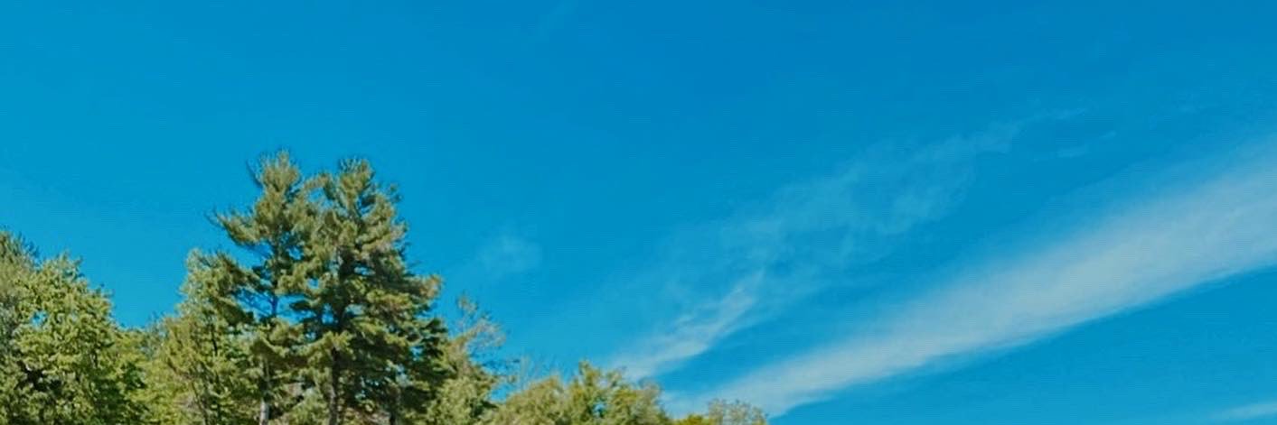 gracegodeski's profile banner image