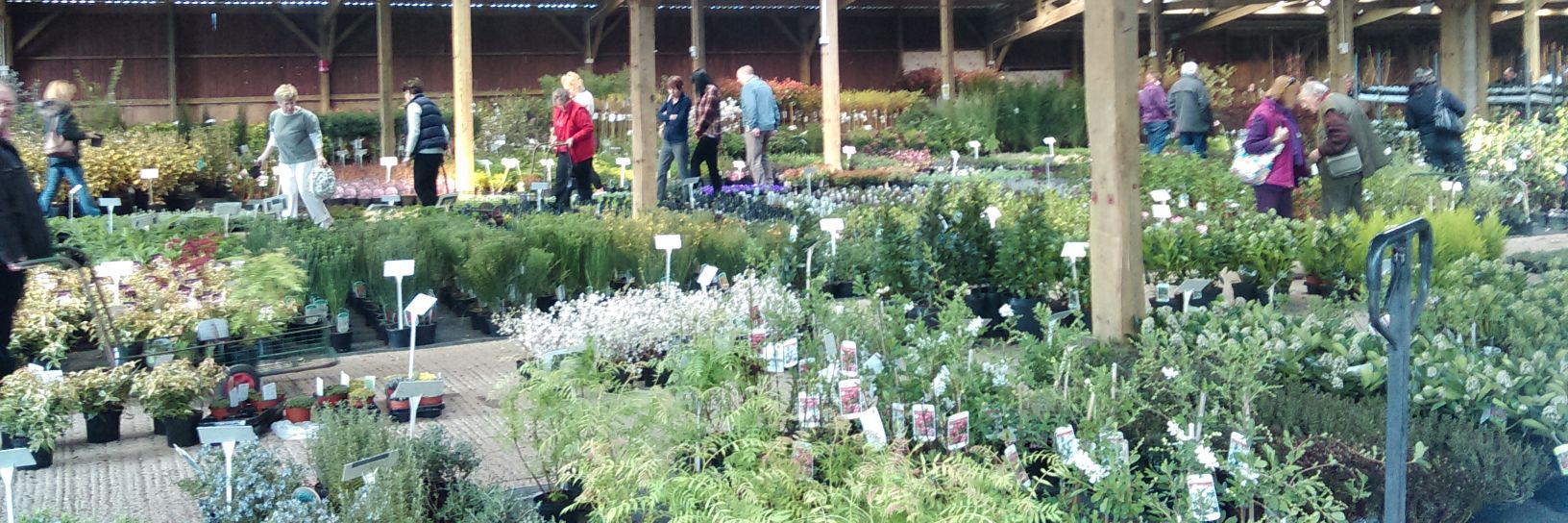 giantplantsale's profile banner image
