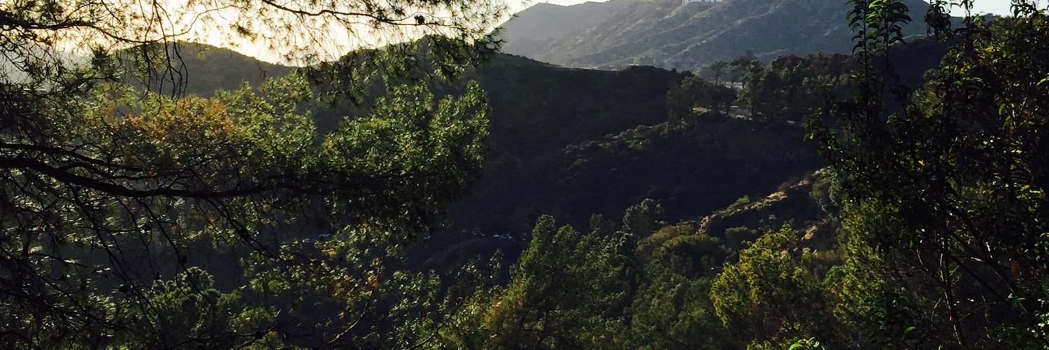 mskcmarie's profile banner image
