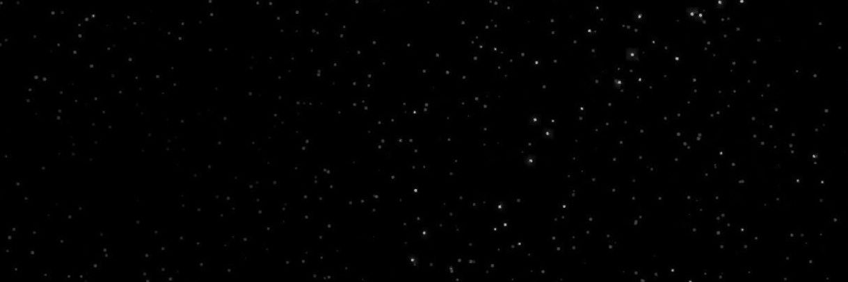 Kohl banner