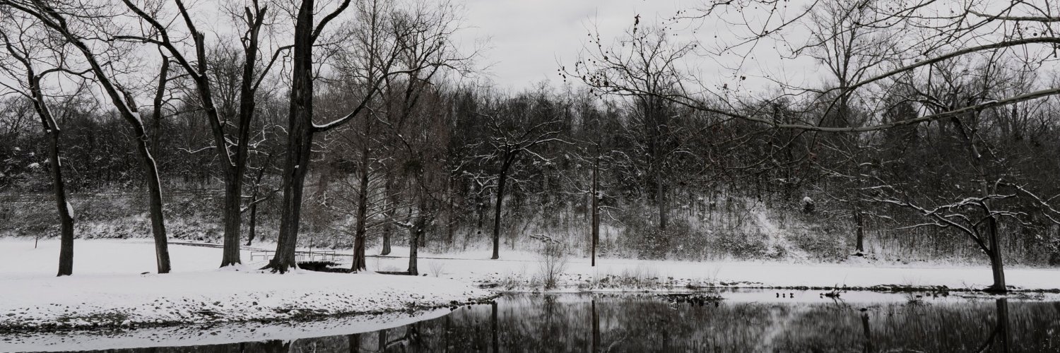 Graue_Mouse's profile banner image