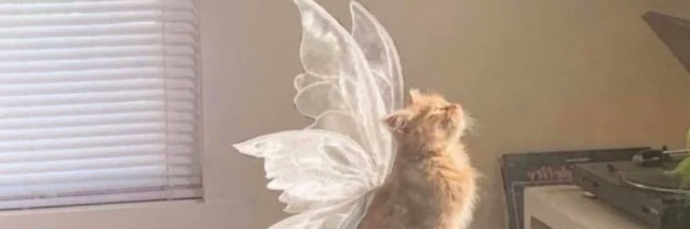 flavia_nat2's profile banner image