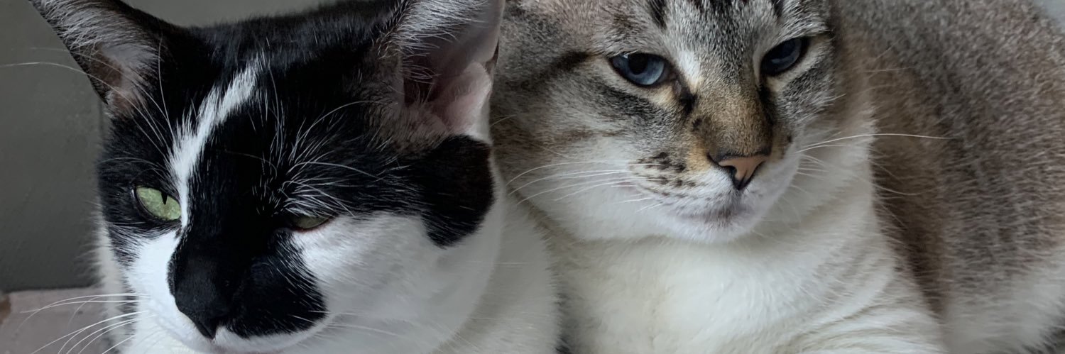 barbkardash's profile banner image