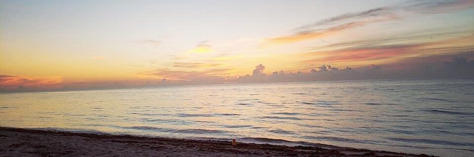 melissaknoop's profile banner image