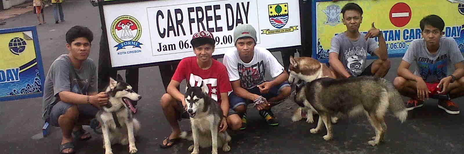 crb_husky's profile banner image