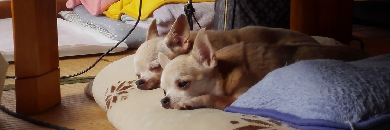 NOIR-METAL（ノア） banner