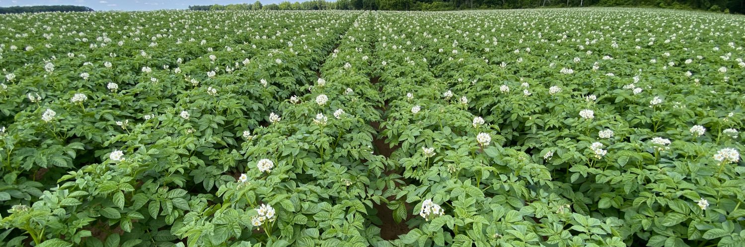 Streef Produce Ltd. banner