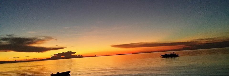 dahliafab's profile banner image