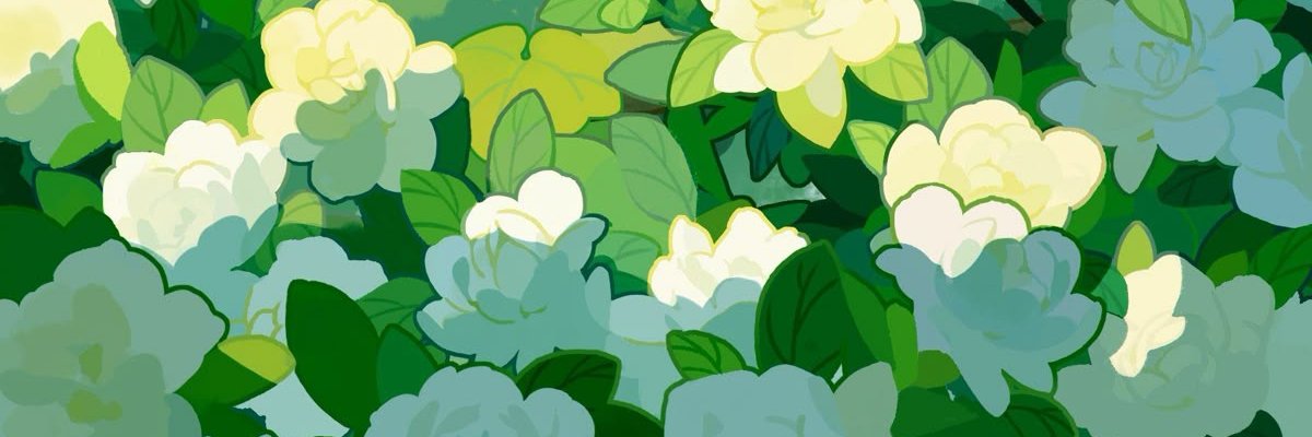 noahaons's profile banner image