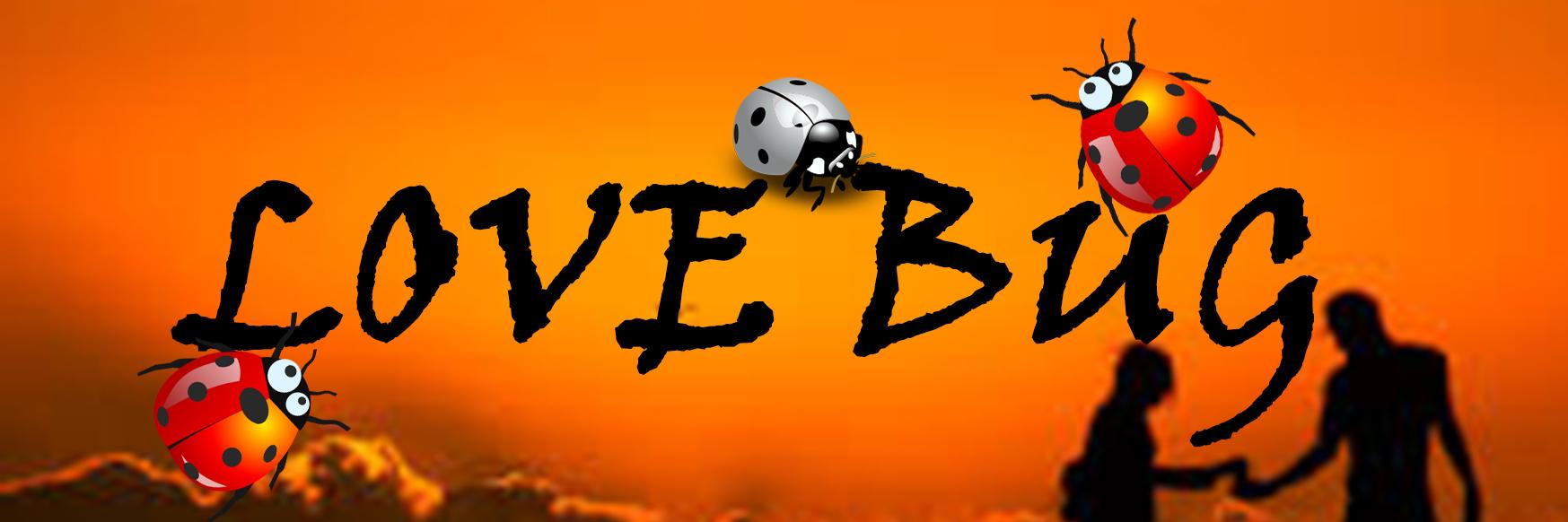 LoveBugOnline's profile banner image