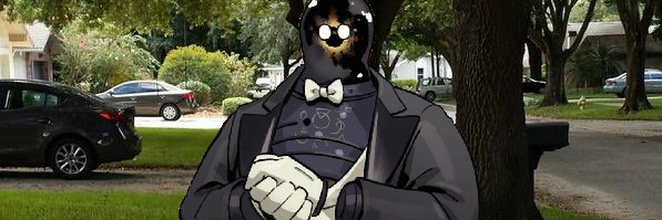 FickleFrog_'s profile banner image