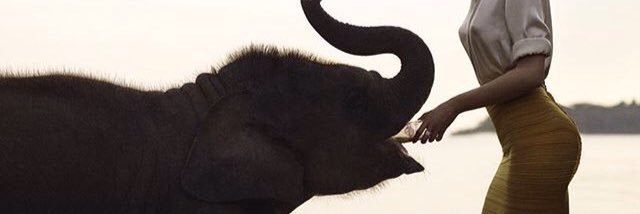 Muniseker's profile banner image